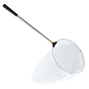  Lk 5iLk S 75 180cm ߒ   ߂   c[ ċx V AEghA o^tC g{  썩̏W ߉\ y zCg