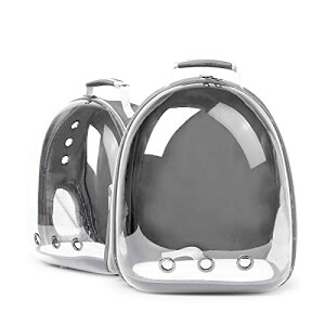 �L �L�����[ �y�b�g�L�����[ �o�b�O �����b�N ���^�� �����[�o�b�O �F���D�^ �ʋC�� ��� ����^ ��e�� �ʉ@ �U�� ���s �ЊQ���p �O���[��