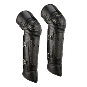 I[goChGpbhI[goCG˃K[hA~̃XL[nXP[gXm[{[hpgMXJo[, X^CF