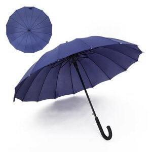 P Y P y amP 16{ 傫 ϕ  Vɋ xOXt@Co[ 傫J [