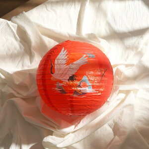  ~ 傤  ~  LEDt  Jt (30cm,bh a)