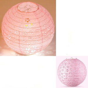  ~ 傤 Jt  ~   Zbg Cxg Ղ /a//oX^Cg (30cm,IWF)