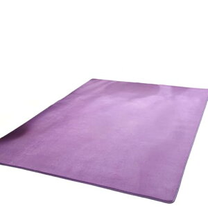 t[[ J[ybg O ~ߕt Iׂ28 200×250cm 3 yʐ݌v x}CNt@Co[ngp ېOK I[V[YKɎgp n (O[,80*120CM) [sAi]