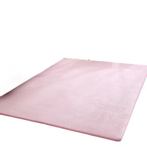 t[[ J[ybg O ~ߕt Iׂ28 200×250cm 3 yʐ݌v x}CNt@Co[ngp ېOK I[V[YKɎgp n (O[,80*120CM) [sAi]