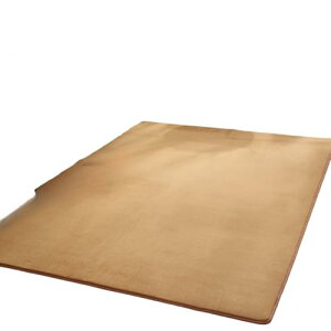 t[[ J[ybg O ~ߕt Iׂ28 200×250cm 3 yʐ݌v x}CNt@Co[ngp ېOK I[V[YKɎgp n (O[,80*120CM) [sAi]