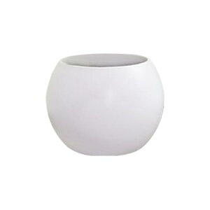 5Aؔ     󂯎Mt  v^[ A ϗtA ꌊ   CeA (11.5*16.5cm) [sAi]