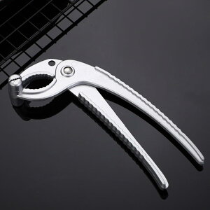 A~jEΓNv~ʌ^Ώh~NvfBXNNvNv^NvLb`KWFbg1 (A~jEhMNbv) [sAi]