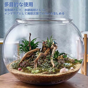  vX`bN L L L L e L͂  ی^ 琅 AN ϗtA CeA e e[uANAE {E | e  Ce