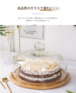 KXJo[T[rOgCh[ؐP[LX^hpv[gfBXvCp[eB[fR[V (29cm,uE)