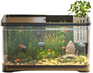 ��㐅���������r���O���i�����^���ԉƒ�p�T��ʔr���T�C�N�� (38.8*21.5*21.2CM,�u���b�N)