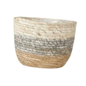 A[oXPbgA҂܂ꂽv^[oXPbgReiAhCi[toRj[t@[nEXAAؔJo[, L