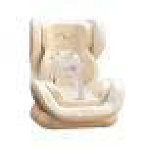 y2025Vozh[J[V[g ԗpʋCNbvh[V[g l`fBXvCp yGAxgNbvƃfXNgbvX^h pz l``FAJ[CeAI[ig ԍ/