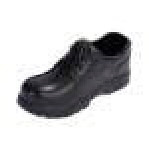 1/6XP[jtBMAV[YAANVtBMAV[YAt@bVAAANVtBMAANZT[A12C`tBMApnhCh~j`A, 