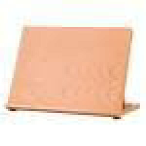 Ĝ߂̖ؐ̐}߉\ȑe[uC[[, A3 47x36cm