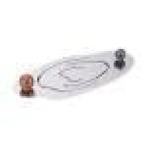 NEh`gCWG[fBXvCgCO\ȉƒpgMoV[P[XCOO, 