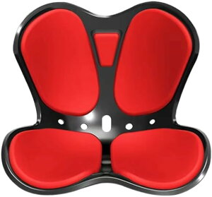 ՃT|[g`FA ՃT|[gV[g {fBVFCv`FA yʃNbV`FAV[g Ɋɘa p ȂJy ^ѕ֗ z[ItBX (ubN)