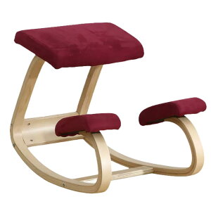 oX`FA v|[V`FA pǂ ɑ΍ wK֎q p⏕ Lw  yj[O`FAql܂ (B-Cbh)