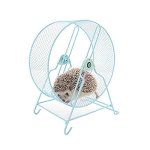 TCgzC[ nX^[zC[  S[fnX^[ nX^[{[ TCgzC[ V}X nlY~Ȃǂ̏̉^s ƂȂ̃gg n