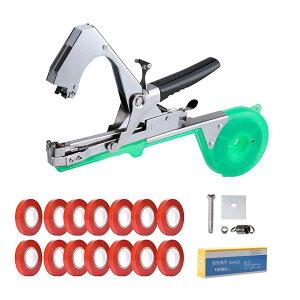 Ae[v}V | K[fjO Ae[vc[ uhEAYx[Ag}gAؗpe[vfBXyT[ - K[fe[vc[Ae[vASe[vA֐nAؗpAo_[ u