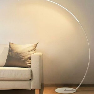 tACg A[`^ tAvLED k_ȃA[NtAv 3FƖ Px 萫 삪ȒPAQ/rO//xbhTCh a  ͋CC (zCg,