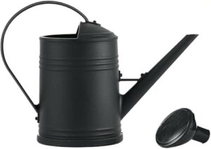 K[fA2LA|AƒpAApiAA̐piAOK[fe