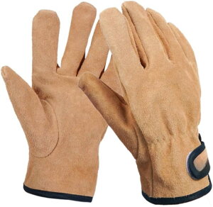 [] O[u Lv  o[xL[ AEghAp yiz LȂ v ω dXg[u Α n |p Ɨp tz ϐ350 