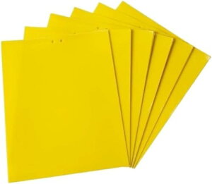 ̂V[g  ̂V[g ʐڒ h S  tȒP  nG쏜 ߊl K[fjO _ ͔| ƒ؉ F