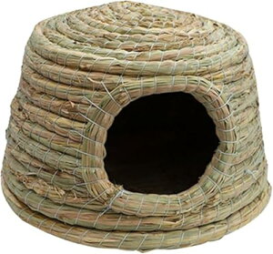 ҂܂ꂽETM̑̉ƁA肵̃xbh̃VF^[̉BƁARe[W̉BƂ̊ނAnX^[AtFbgAbgAXp, 傫