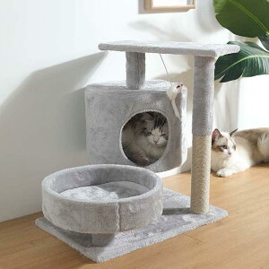 �L���b�g�^���[ �l�R���ݒ� �T�C�U���� �L�^���[ �L �܌��� �~�j�^�C�v �ܖ��� �L�̗V�я� �₷�� ��� ���S �W�]�� �����u�� �������� �܂Ƃ� ���R �X�g���X���� �l�R�̗V���n ���萫 ��