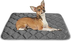 zbg}bg ybgp xbh }bg L  }bg g ybgpۉ}bg 􂦂 Iۉ ̉Œ~M h ΍ ӂӂ 