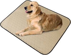 􂦂 ybgV[c ChTCY }bg ybg}bg ۂƐ􂦂 JԂg y