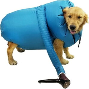 ybgTpoX^u  hC[ p ybgp ybg  g}[  P[X 