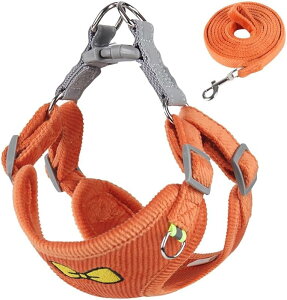  L [VX[u U \tgbV ʋCxXg ^Lp  EȒP pbh  h~ [h