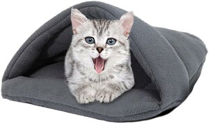 ^LnEX gVFpT_^ ybgnEX LQ ybgpi bg nX^[ Ȃ̑