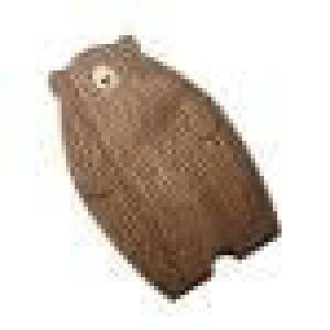 N}̌`ؐv[g - RȃfUC, N}̐Ԃ