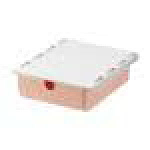 fXN̎[{bNXAoI[KiCU[AwKXy[Xp, sN