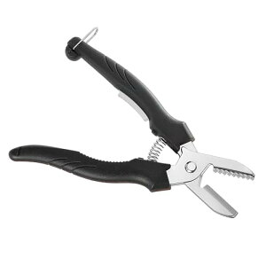 IĂ߂̃Lr͂݃[o[ALrI[vi[A݊, F