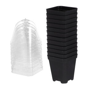 12 ZbgcԖ~ vX`bN h[t ^Ap |