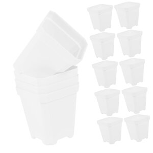 20 ApvX c|bg yʑϋv t ΐA͔|