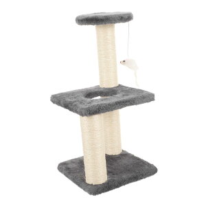 \ϖ Ƃ^[ L̒܌Nێp p܌|[ ݌vŊɂO[