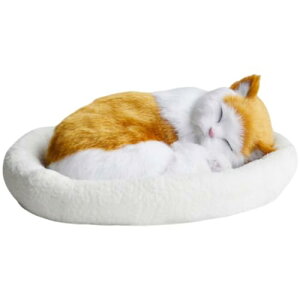 ʂ  G  ͌^ l` ċzUL tt v[g Aj[V L  u  q (CG[ubNLbg)