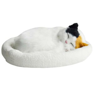 �ʂ������ �������� ���G ���� �͌^ �l�` �ċz����U�L �t���t�� �v���[���g �A�j���[�V���� �L ���� �u�� ������� �q�� (�C�G���[�u���b�N�L���b�g)