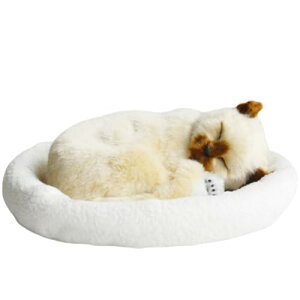 ʂ  G  ͌^ l` ċzUL tt v[g Aj[V L  u  q (CG[ubNLbg)