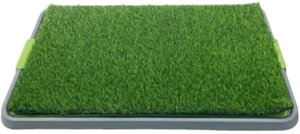 pgC Ő̂悤ȌpApbh ^ ^ r ybgpi