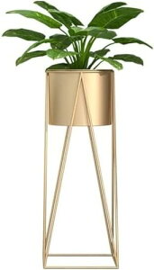 �A�ؔ� �� �S�� ���J�o�[ �~�͔� �t�����[�X�^���h ��^ ���� ������� ���t�� �� �v�����^�[ ���A�� �C���e���A ���� ���� �ϗt�A�� �S�[���h���^���A�C�A���t�����[�z���_�[�X�^���h �f�R