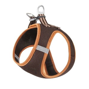 pn[lX Lp[hZbg  ^pn[lX L bVf ̂ɗD ˍޕt ₷悤ɒ\ EȒP h~  킢 Lp[h Lp