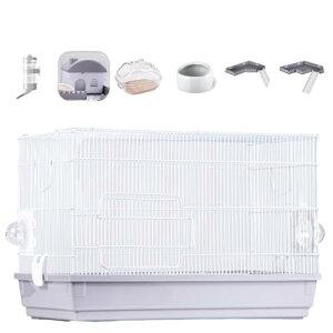 nX^[ bg p ^TCY P[W P[W ԃ^Cv Eh~ () [ 57.5 s31.5 39cm ]