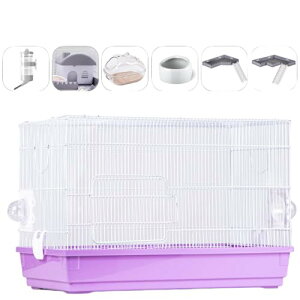 nX^[ bg p ^TCY P[W P[W ԃ^Cv Eh~ () [ 57.5 s31.5 39cm ]