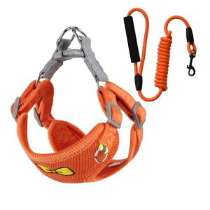 rV`F[^|jAqEH[LO[hʋCn[lXefBhbO[hxXgX^CLn[lXA^[hցAybgA^At@bVA