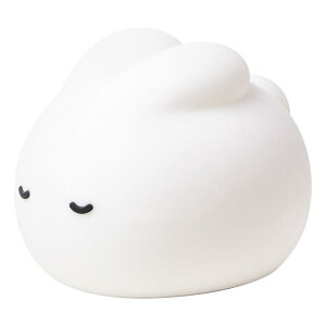 ^C}[It@\t VR ԐڏƖp Qp oj[fUC v iCgCg Cg USB [d 2 iK 2700k g LED Cg av[gp Q11